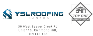 cropped 图片1 removebg preview.png